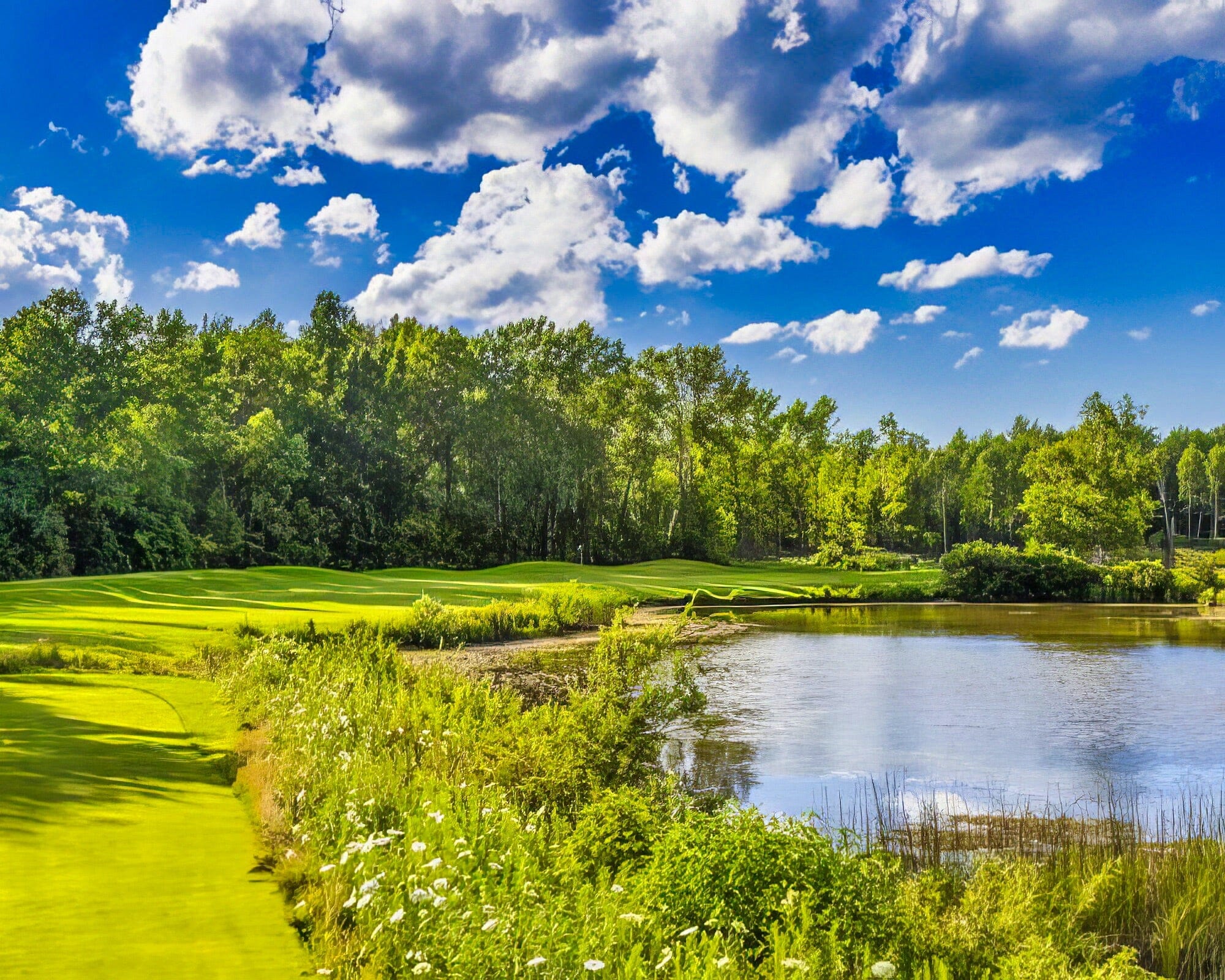 Vitality Assurance Vacations At Collingwood - Image 9