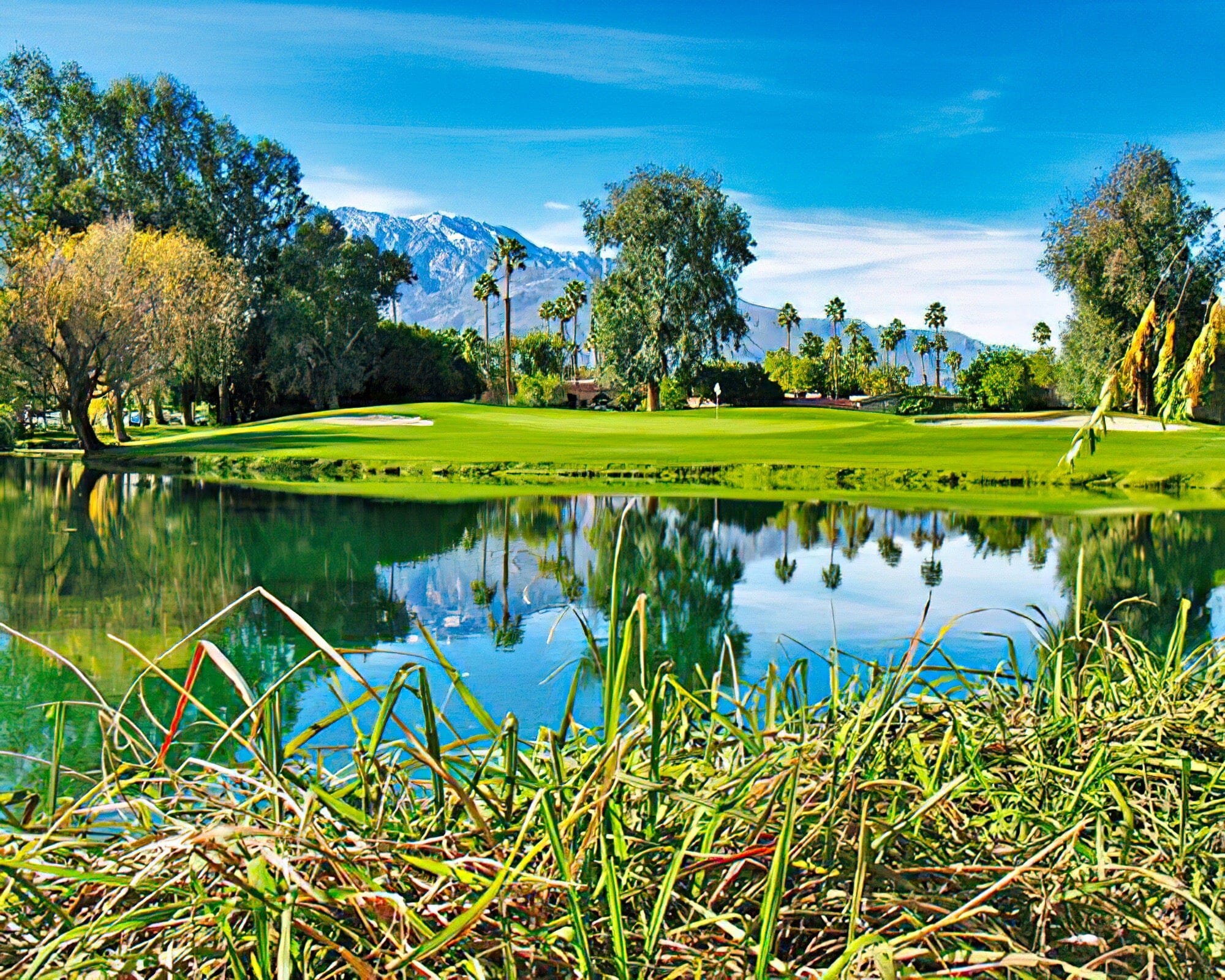 Welk Resorts Palm Springs - Desert Oasis - Image 11
