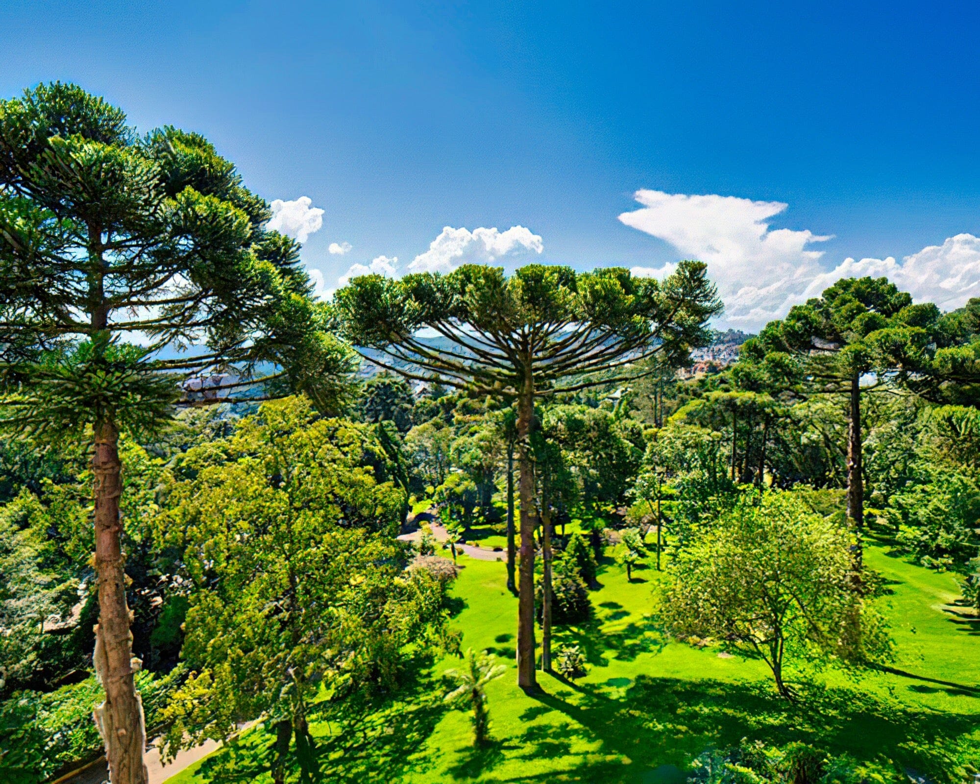 Wish Serrano Resort & Convention Gramado - Image 20