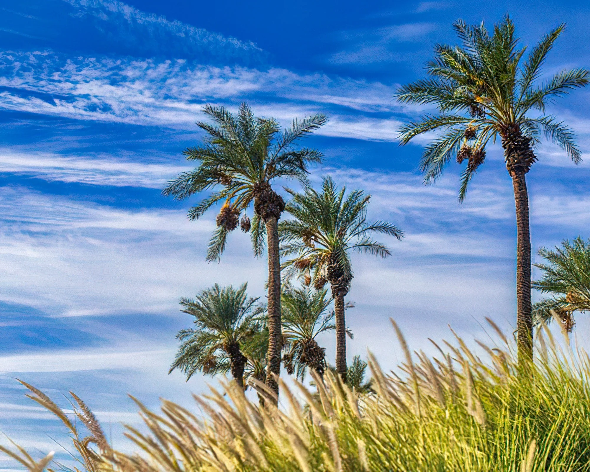 WorldMark Indio - Image 9