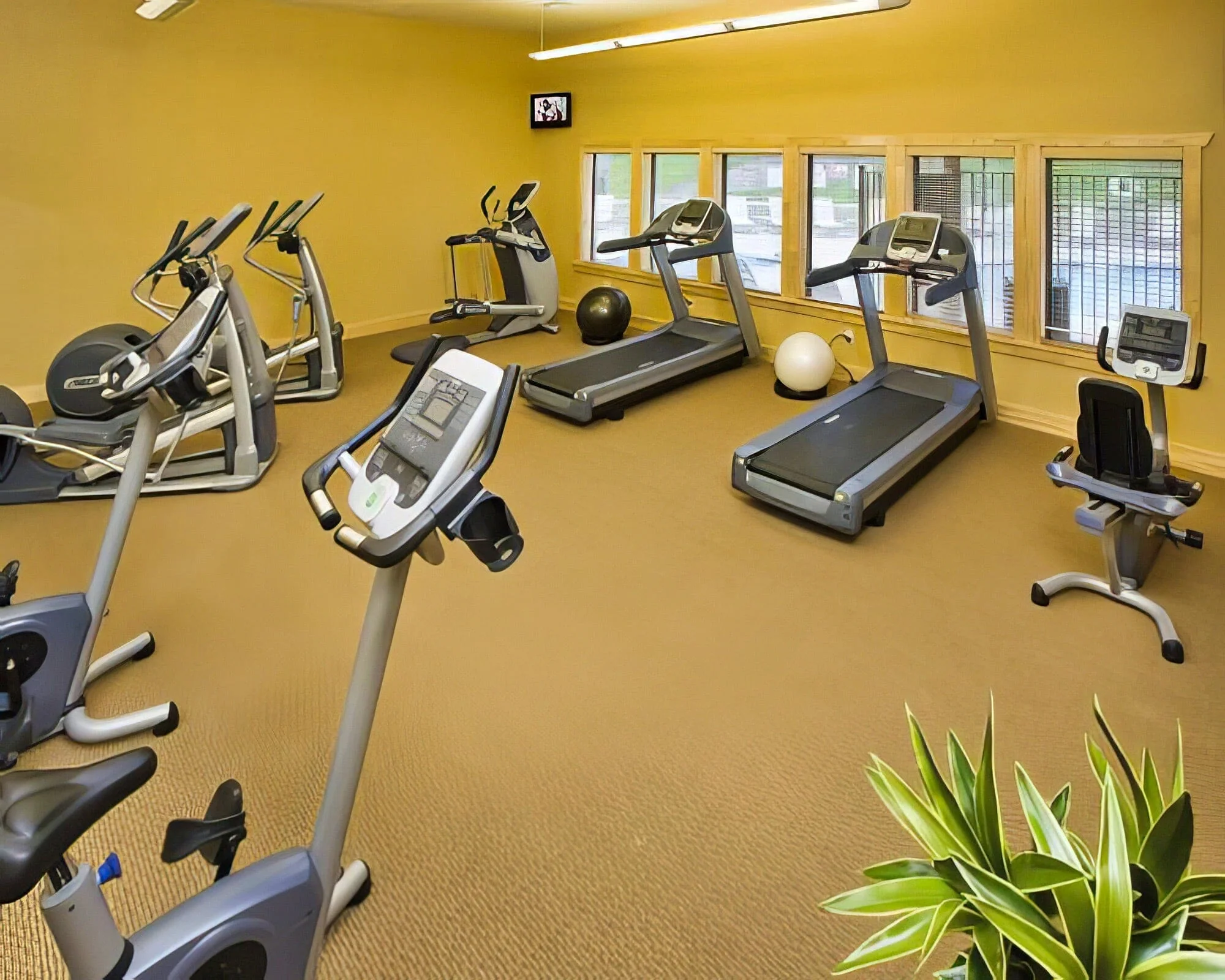WorldMark New Braunfels - Image 18